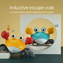 Dancing Crab Children's Early