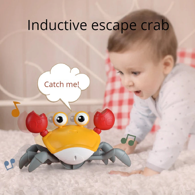 Dancing Crab Children's Early