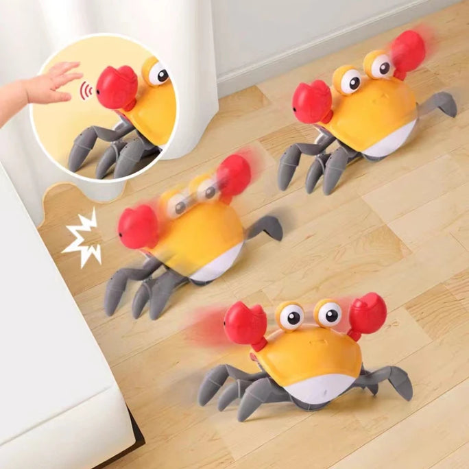 Dancing Crab Children's Early